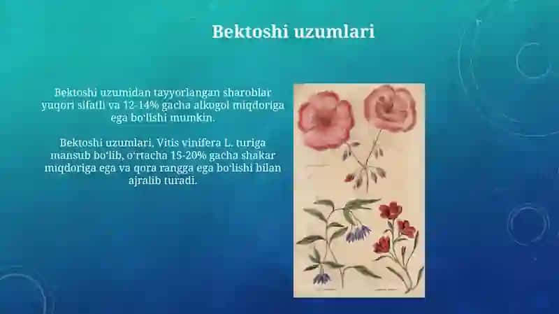 Atirgul 4