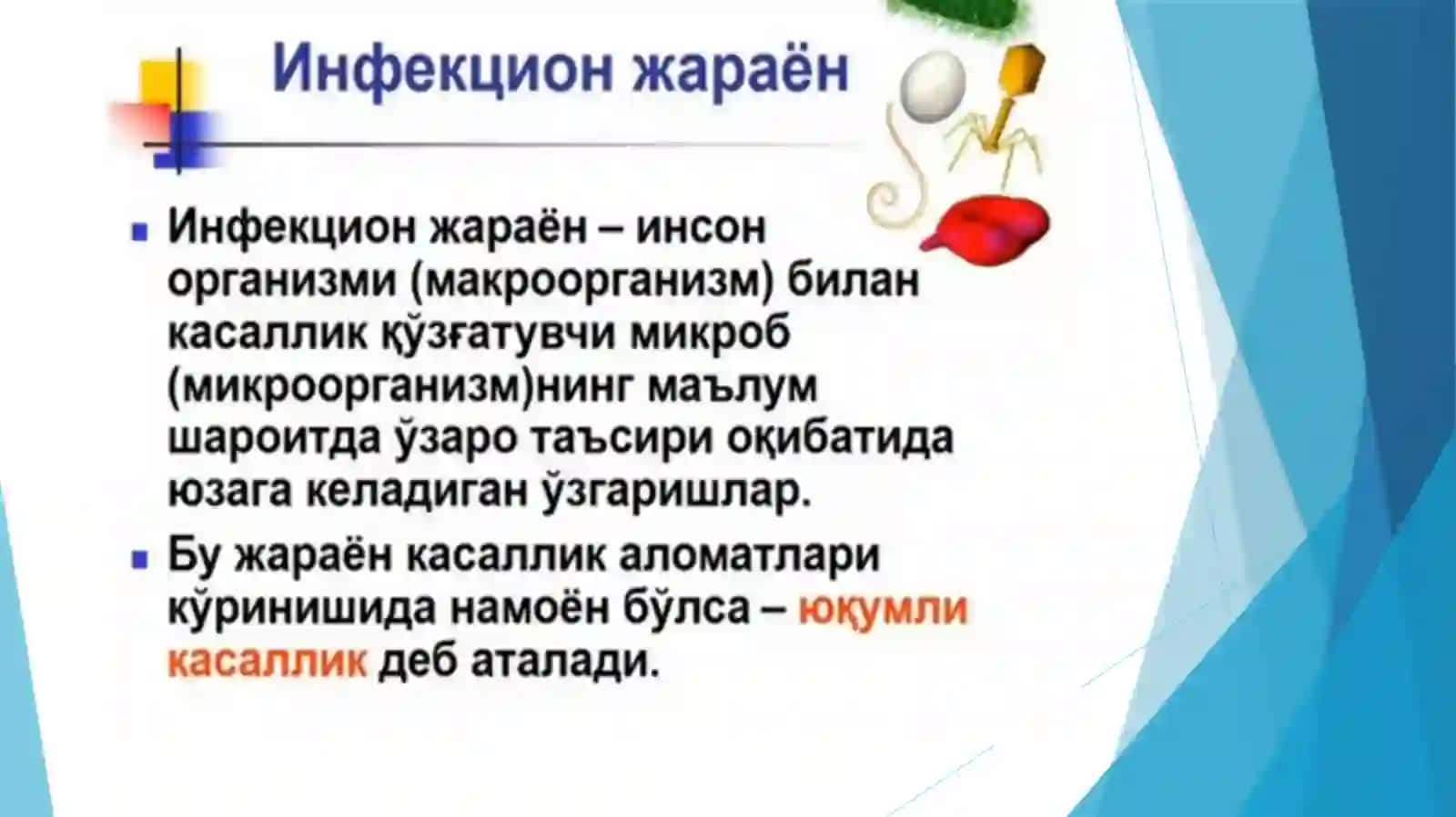 ФАН-ПАТОЛОГИК АНАТОМИЯ 4