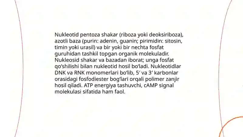 Nukleozidlar.Nukleotidlar 4