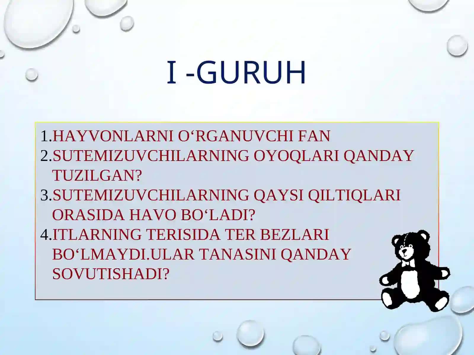 Itning ichki tuzulishi 4
