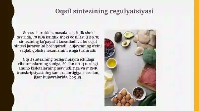 Oqsillar almashinuvi 4