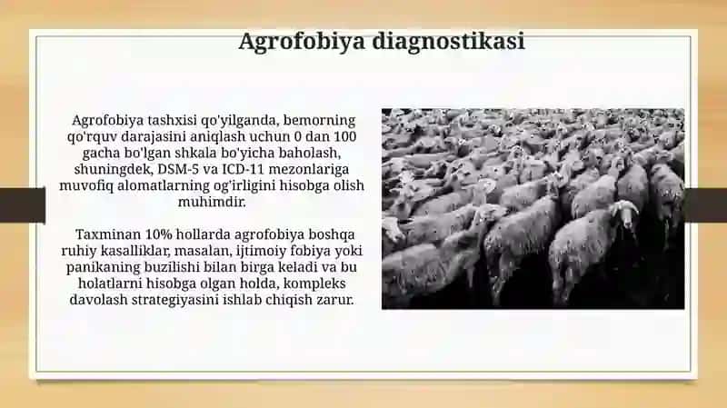Agrofobiya va Talassofobiya: Umumiy Ma'lumot 4