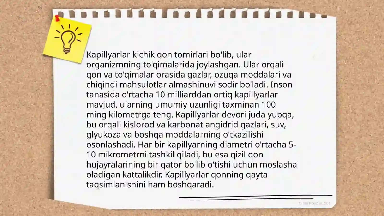 Kapillyarlar 4