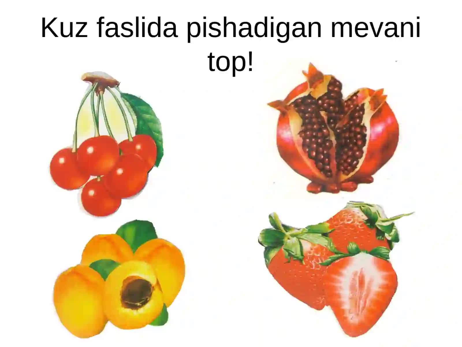 Kuz fasli 4
