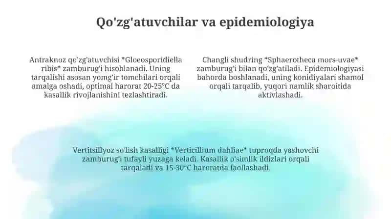 Biotexnologiya 4