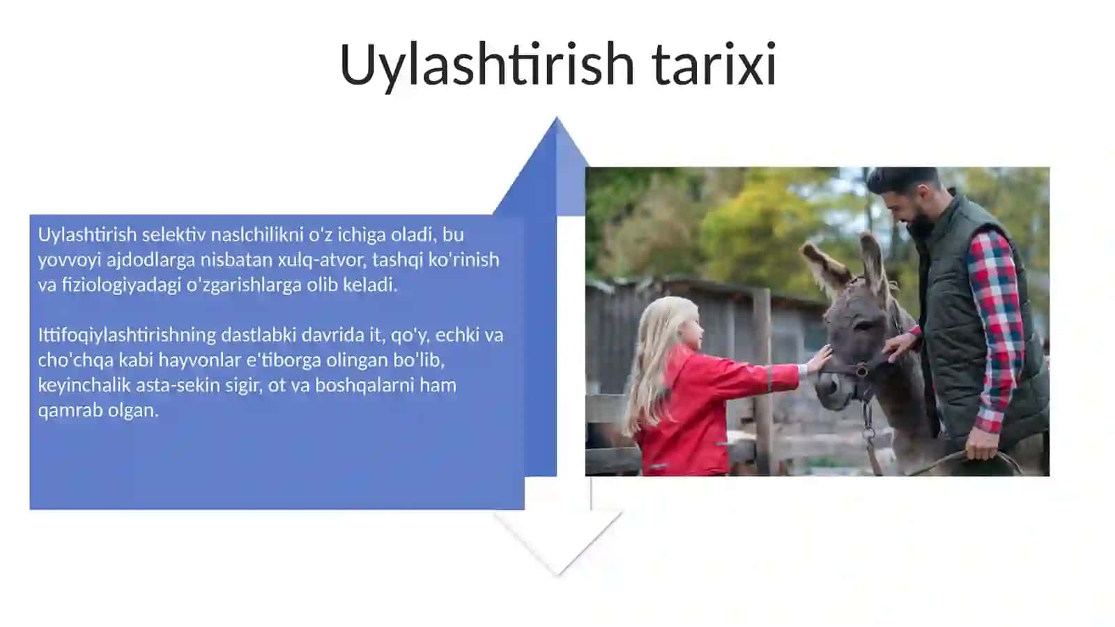 Umirtqali hayvonlar 4