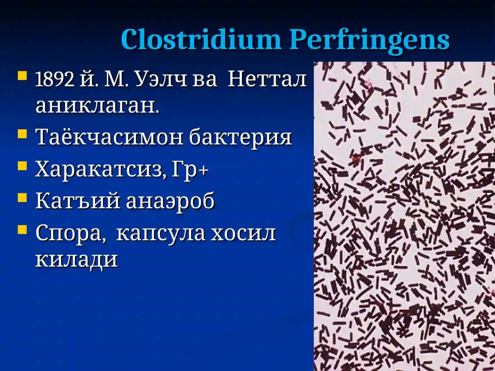 Жарохат инфекцияси.Кокшол, Газли гангрена 4