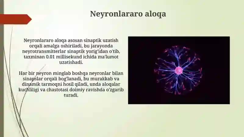 Neyronlar 4