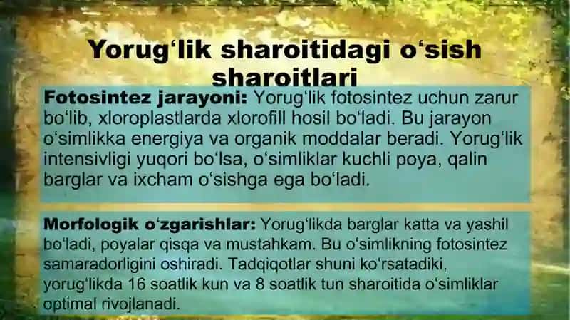 Oʻsimliklarning yorugʻ va qorongʻu joyda o’sish sharoiti. 4