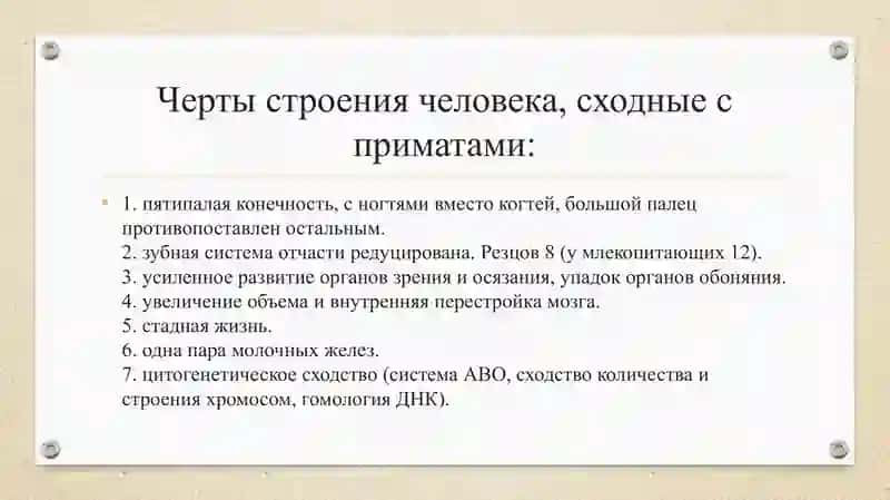 Антропогенез 4