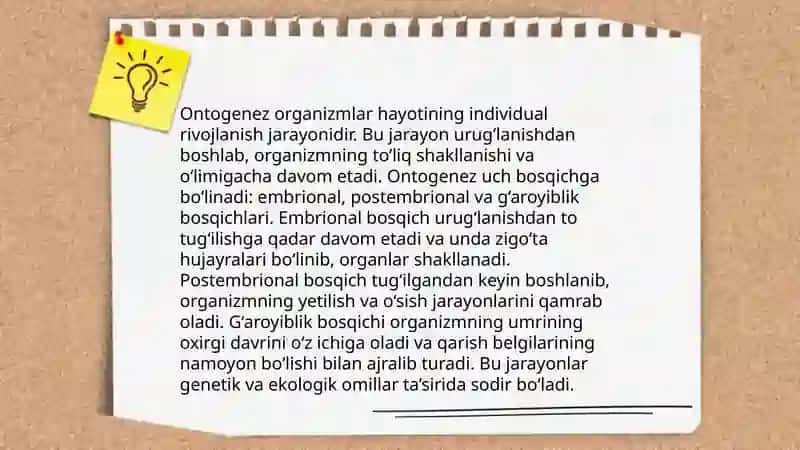 Umurtqalilarda aʼzolar va aʼzolar tizimi ontofilogenezi 4