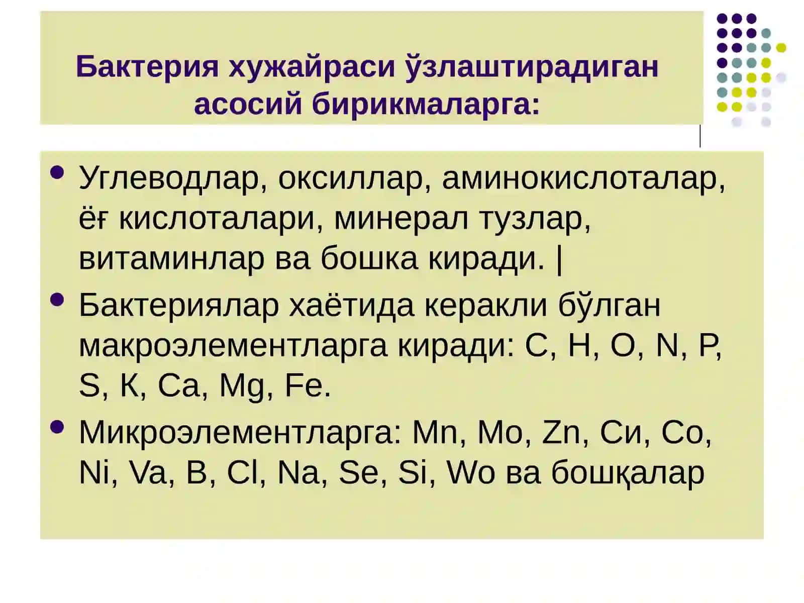 БАКТЕРИАЛАР 4