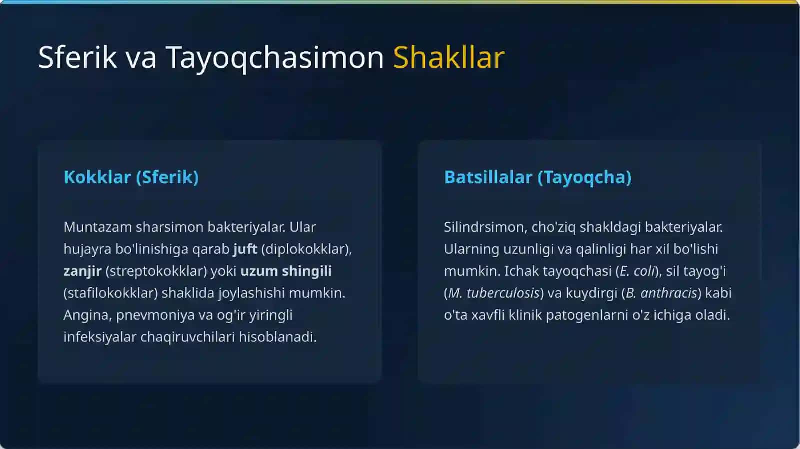 Mikroorganizmlar morfologiyasi va boʻysh usullari 4