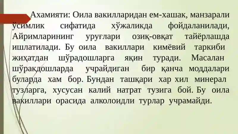 Гултожихўроздошлар (Amaranthaceae) 4