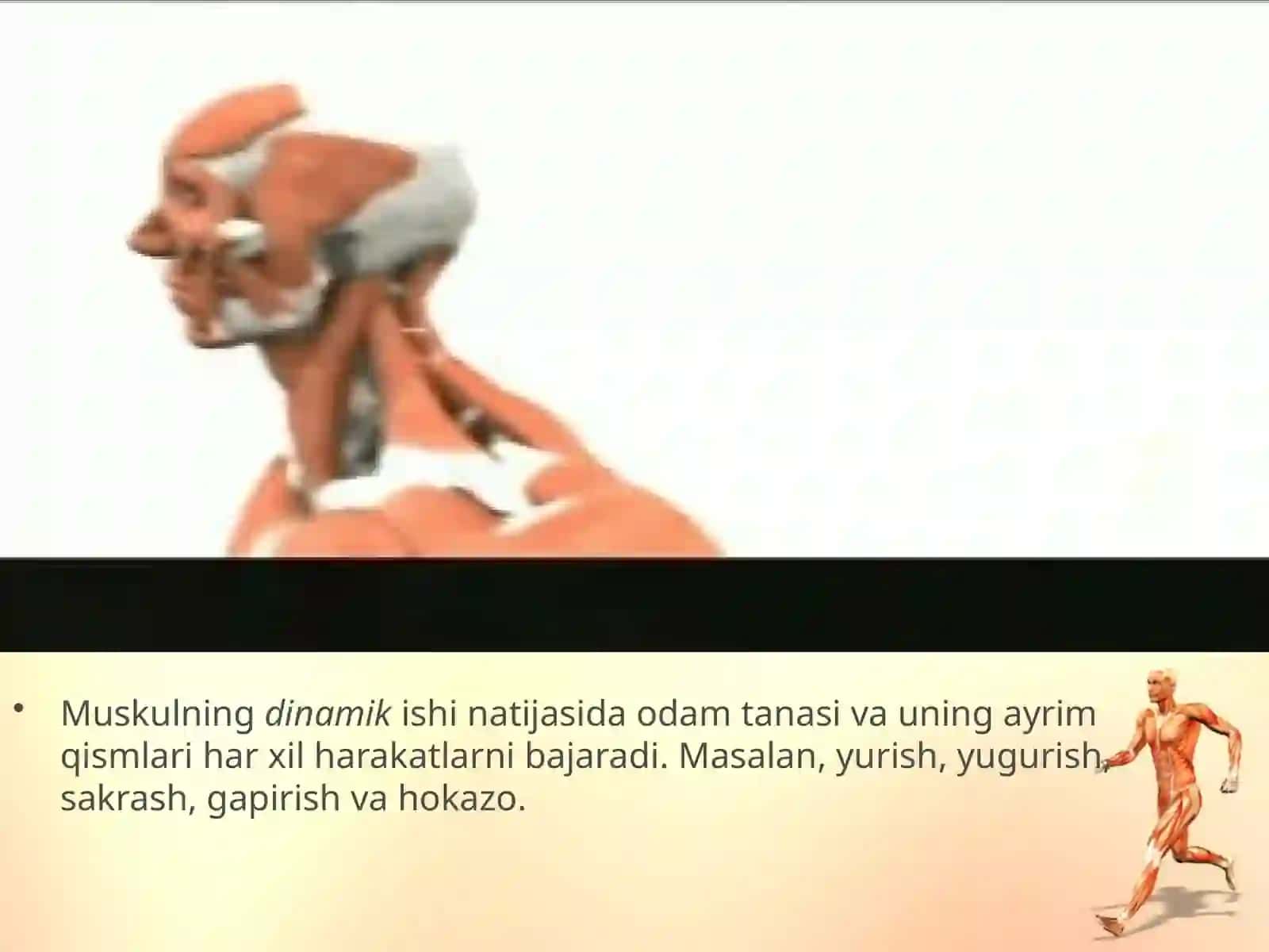 Muskullarning ishlashi 4
