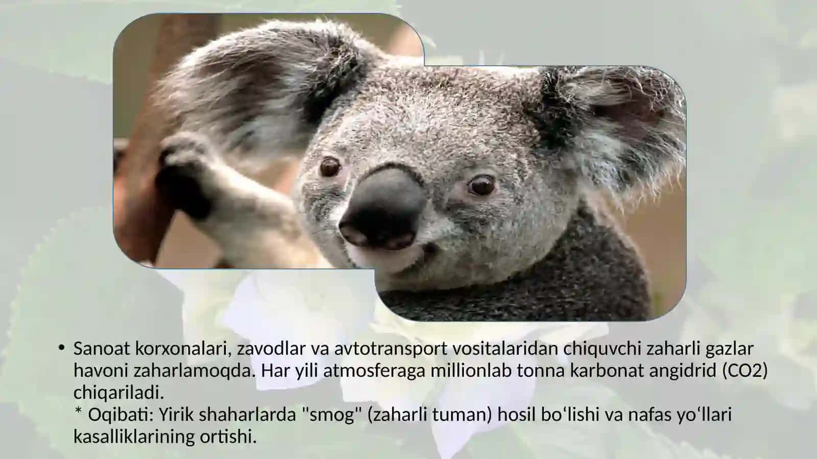 EKOLOGIK MUAMMOLAR 4