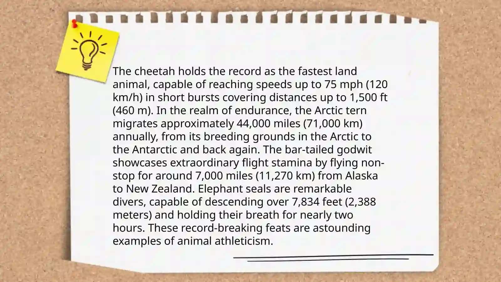 Endangered Species of the World 4