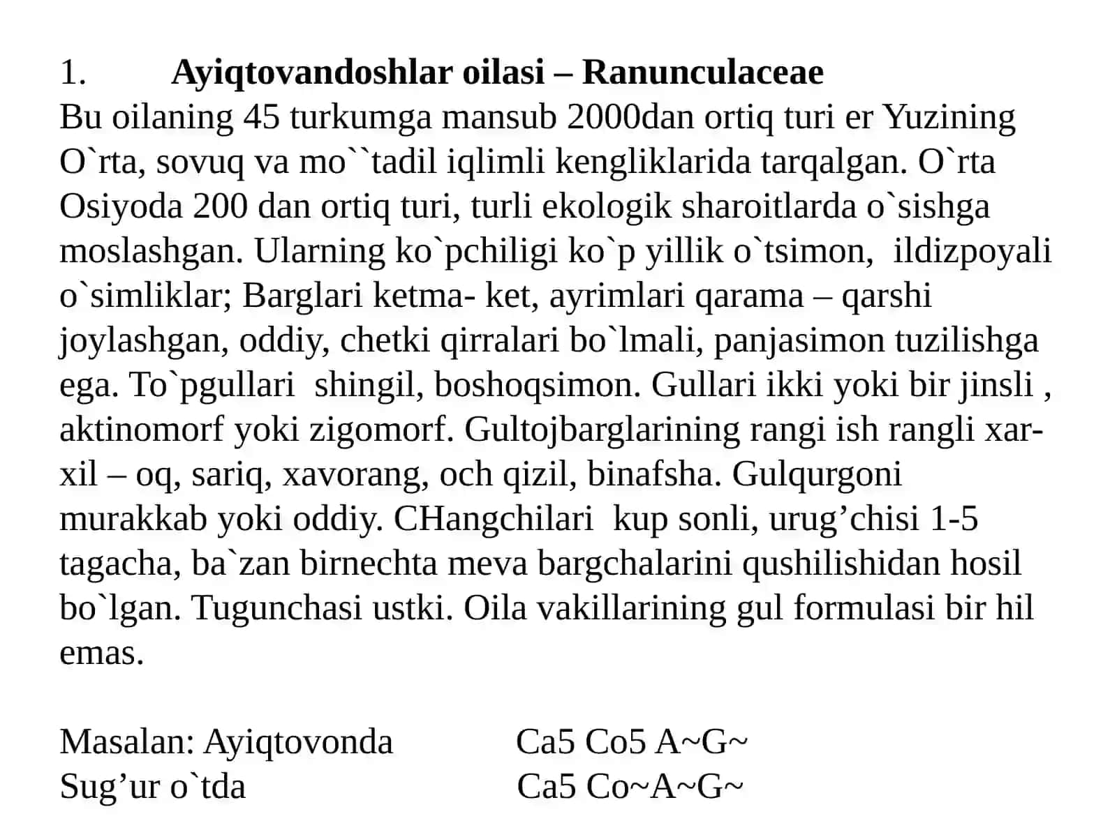 Ayiqtovonkabilar ajdodchasi 4
