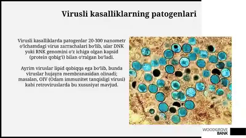 Virusli kasalliklar: Patogenlar va Turlari 4