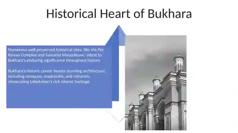Bukhara Cultural and Culinary Experience 4