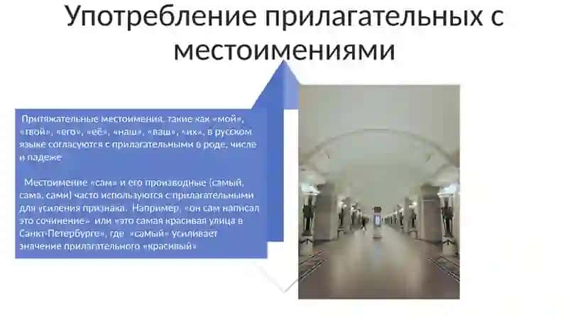 Имя прилагательное в русском языке 4