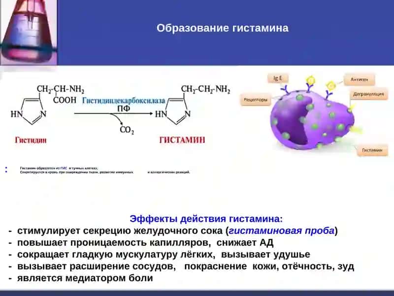 Обмен аминокислот 4