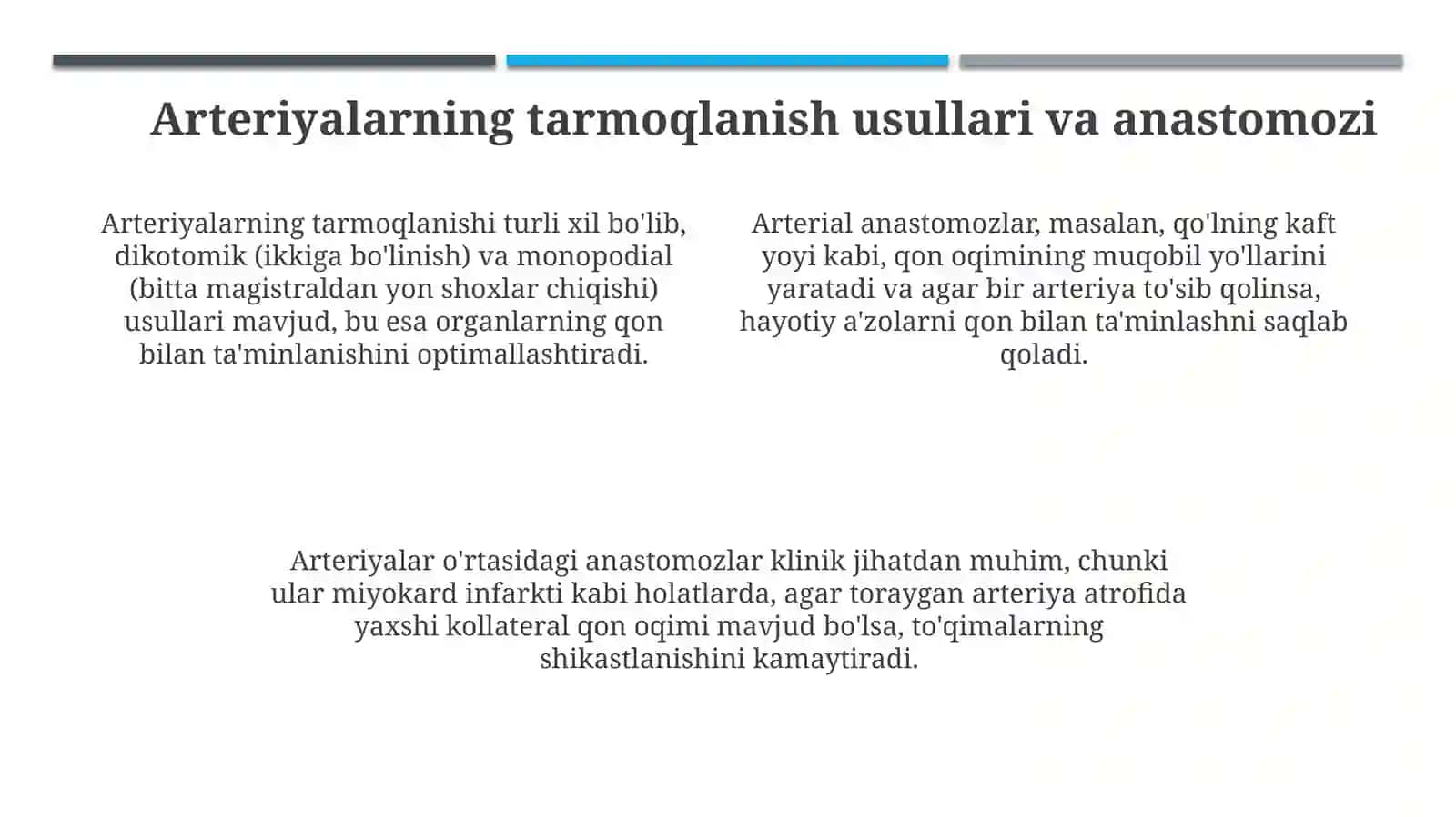 Arteriyalarning tarqalish qonuniyatlari 4