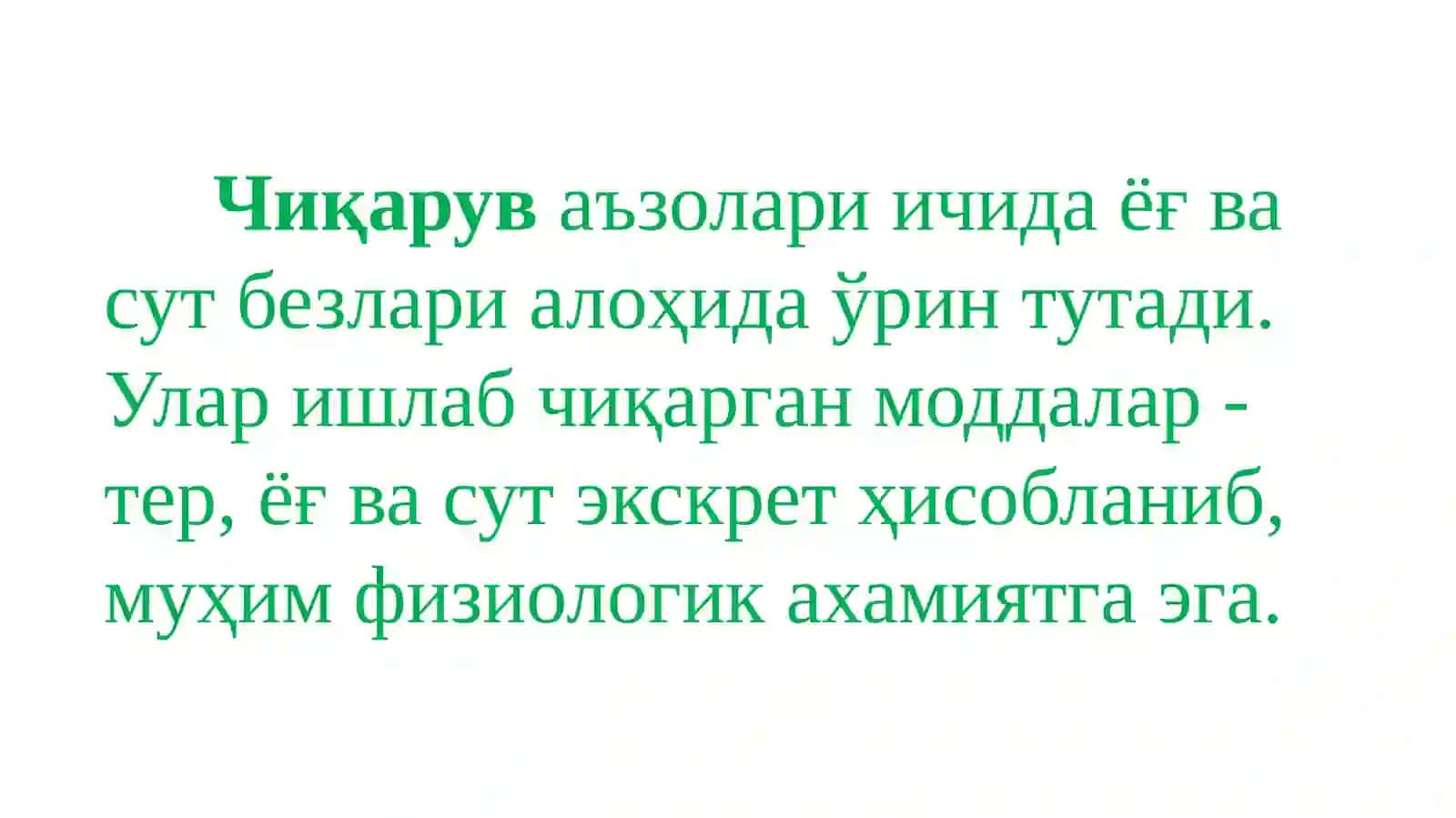 Айирув тизими 4
