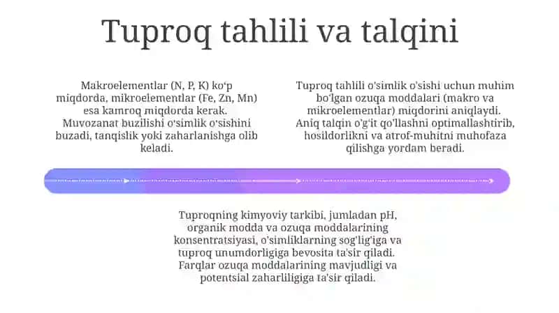 Tuproqning kimyoviy tarkibi va tuproqdagi makro va mikro elementlar 4
