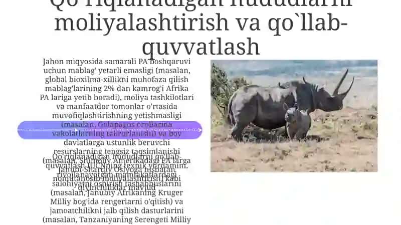 Qo'riqlanadigan hududlar 4