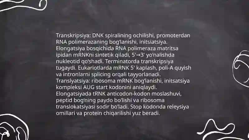 Peptid va oqsillar sintezi 4