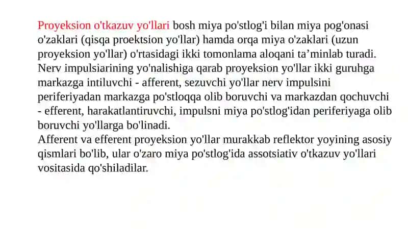Reflektor yoyi 4