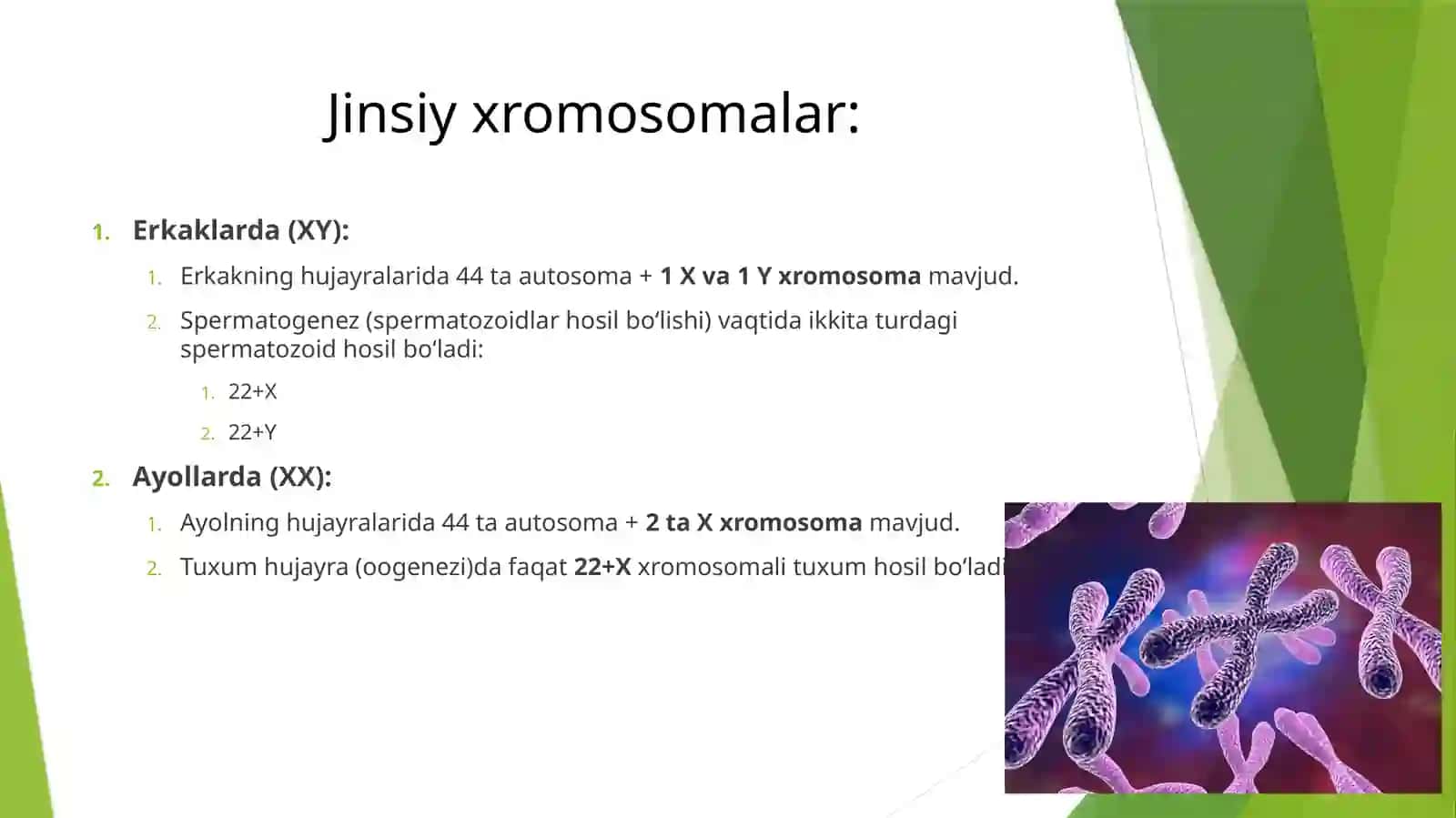 Jinsiybezfiziologiyasi 4