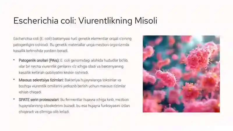 Mikroorganizmlarning Patogenlik va Viurentlik Omillari 4