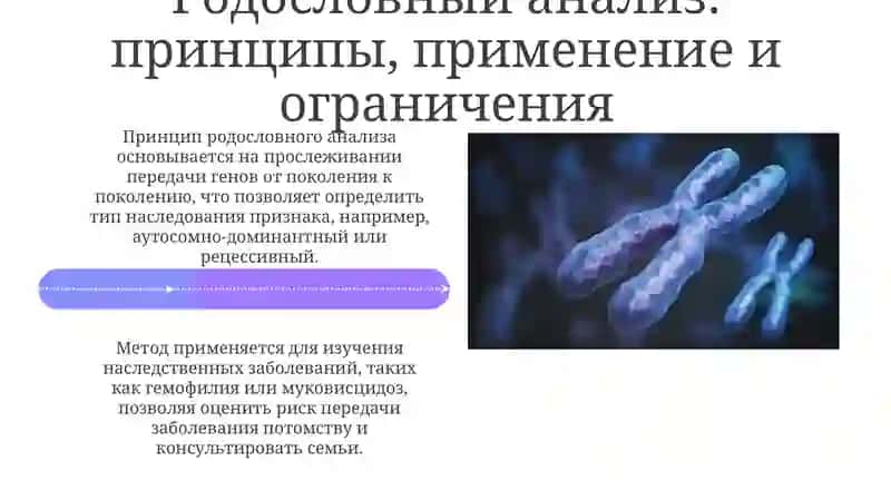 Методы изучения генетики человека: Обзор 4