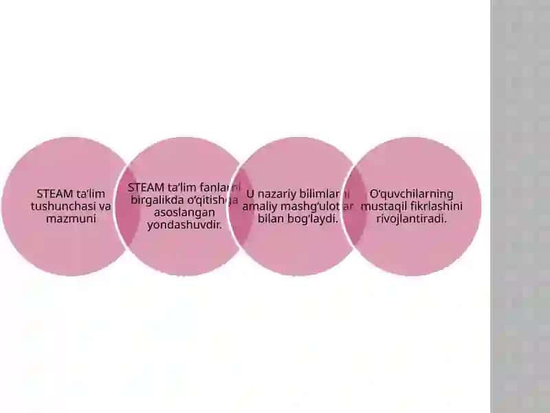 STEAM TA'LIM 4