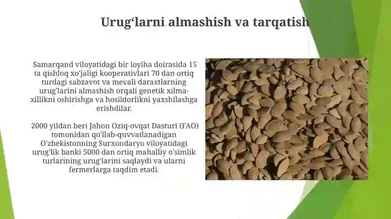 Urug'larni saqlash va hujjatlashtirish 4