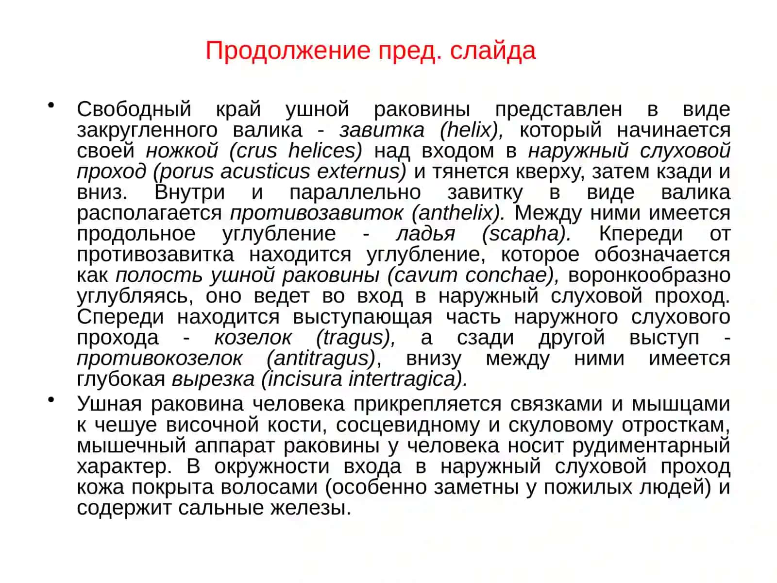 Эмбриогенез структур слухового анализатора 4