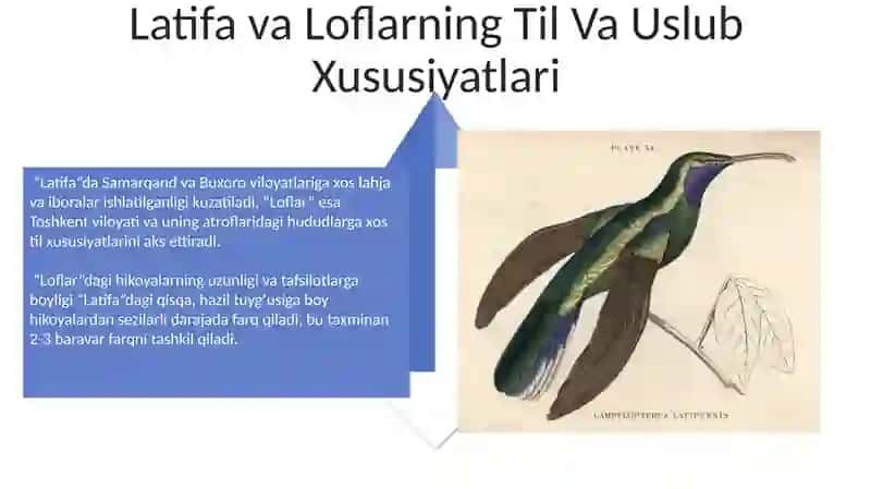 Latifa va loflarning qiyosiy talqini 4
