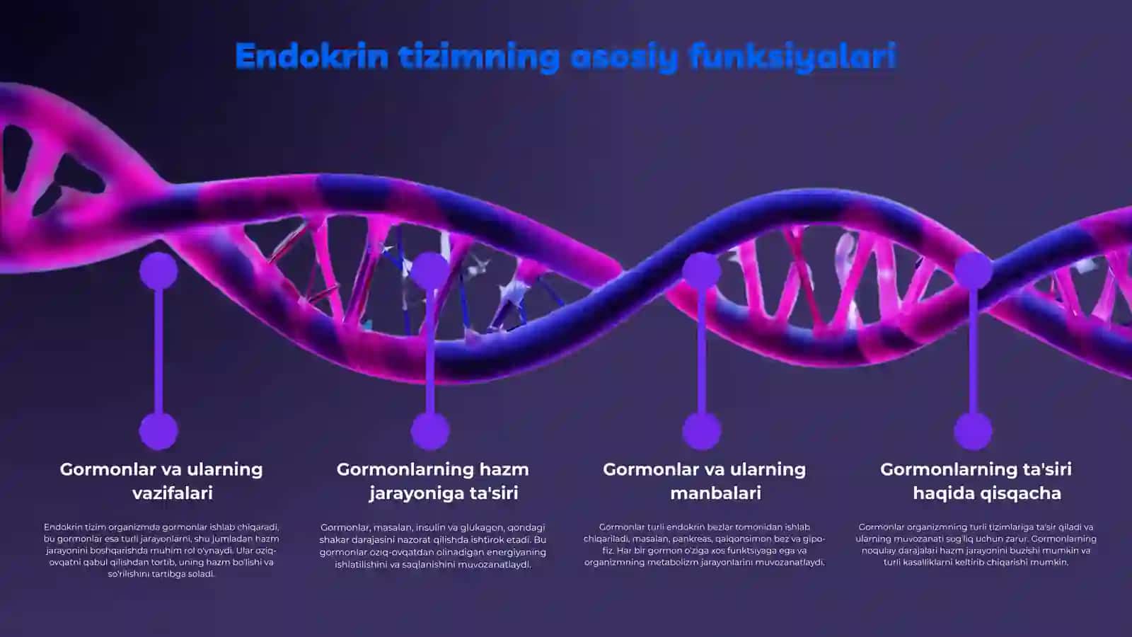 Endokrin Tizim va Hazm Jarayoni 4