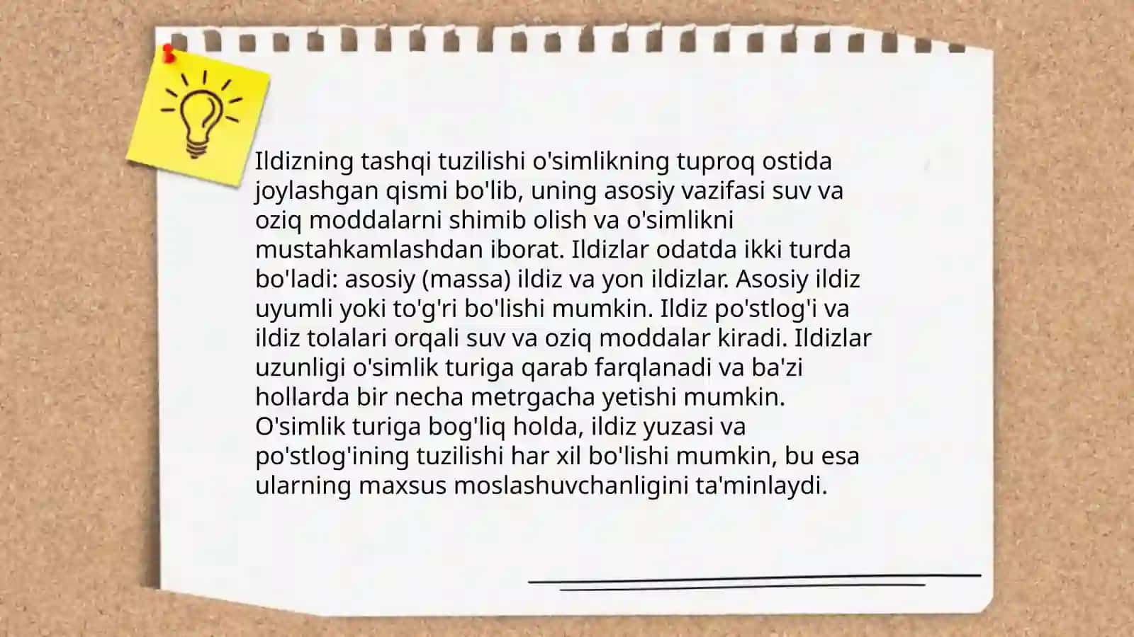 Ildiz tuzulishi turlari 4