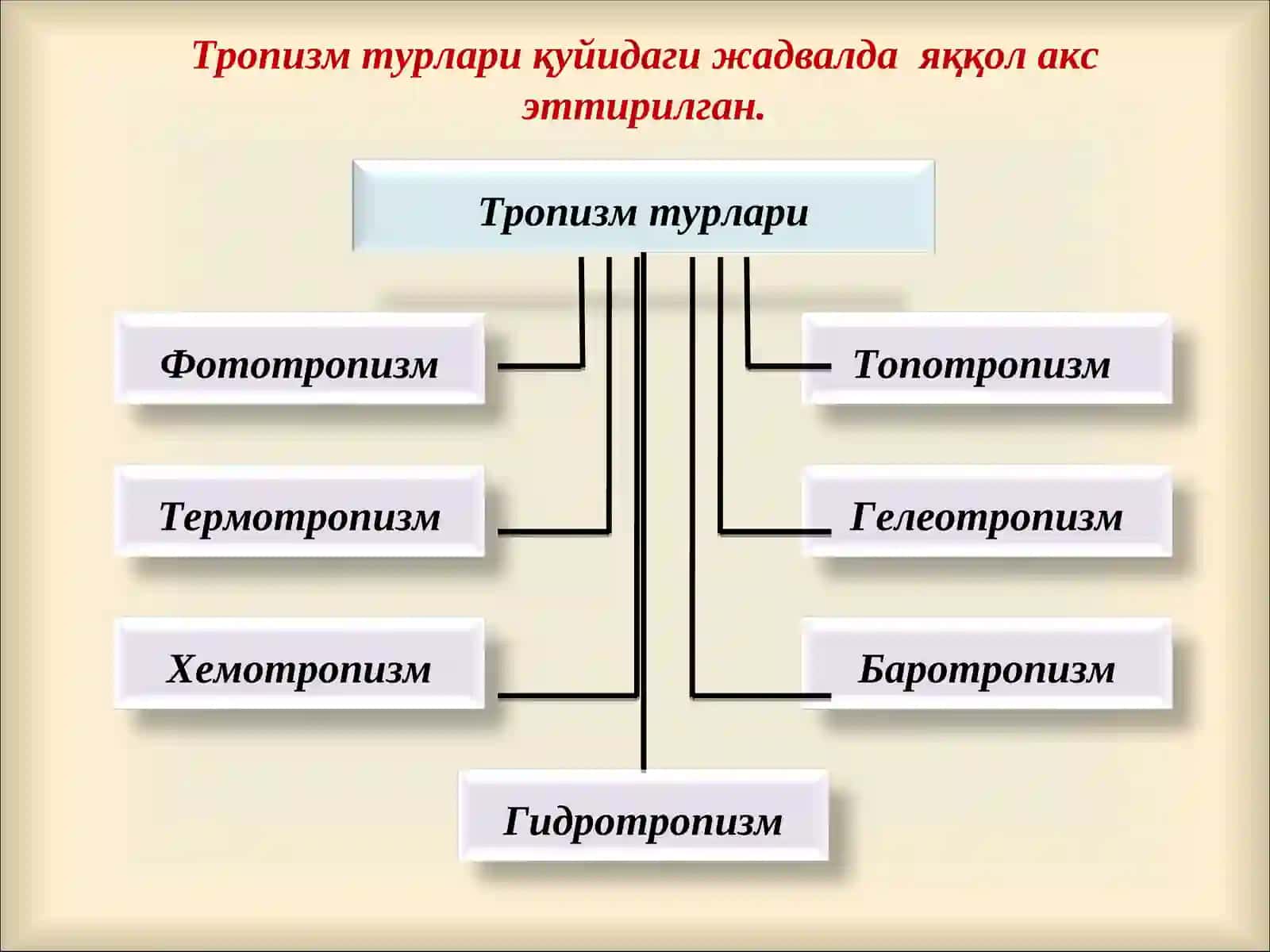 ПСИХИКА ВА ОНГНИНГ ТАРАҚҚИЁТИ 4