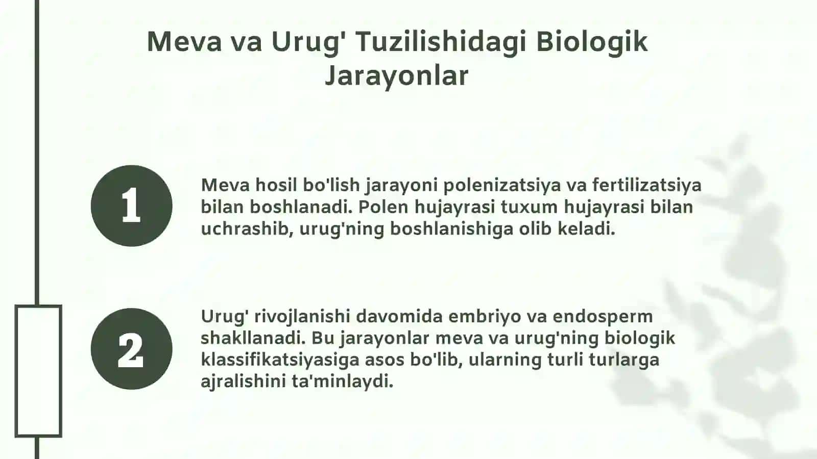 Meva va urug' tuzilishining klassifikatsiyasi 4