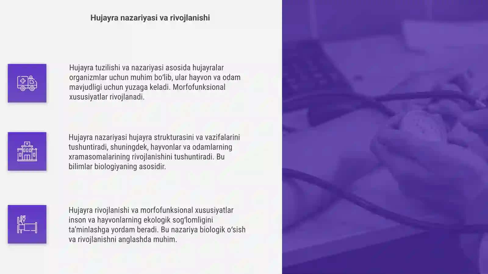 Hujayra tuzilishi 4