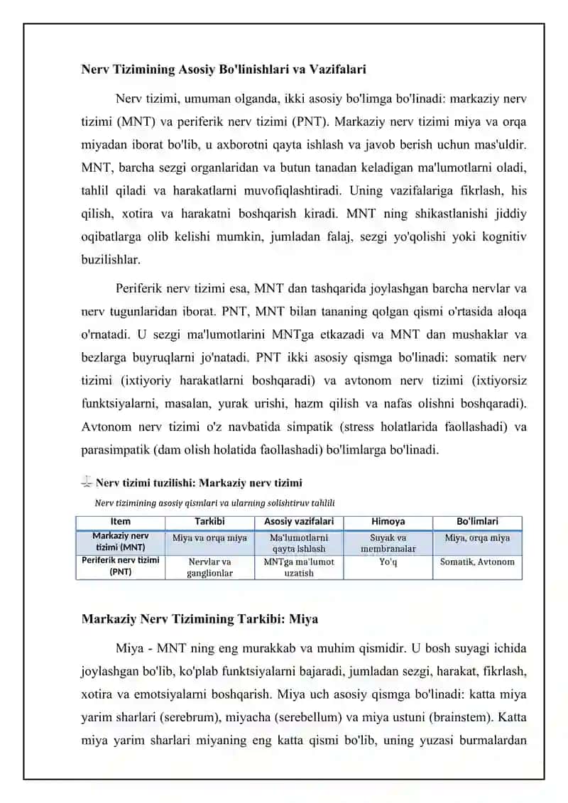 Nerv sistemasining tuzilishi. Markaziy nerv sistemasi. 4