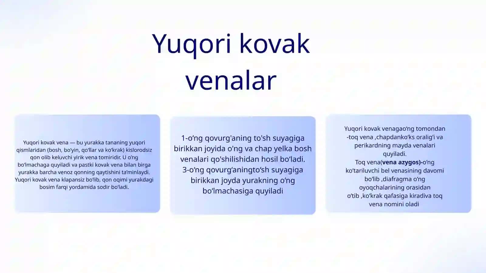 Vena tizimi 4