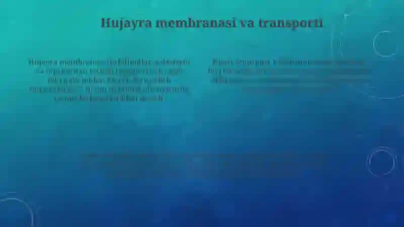Hujayra tuzilishi va funksiyalari 4