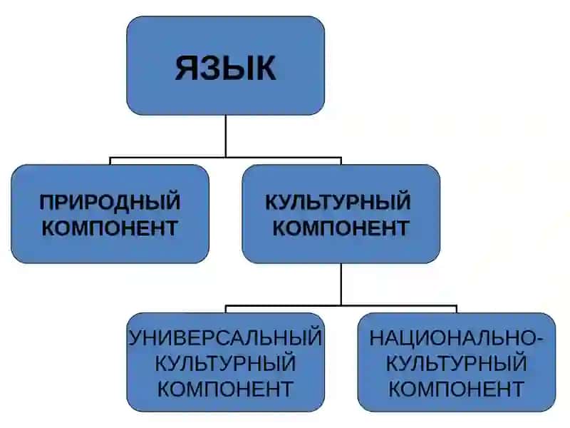Взаимодействие языка и культуры 4