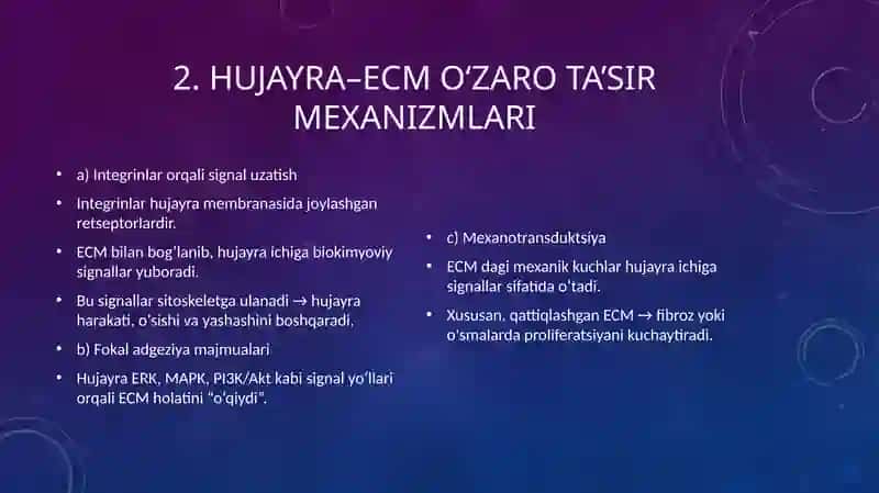 Hujayra va hujayradan tashqari matriks orasidagi munosabatlar 4