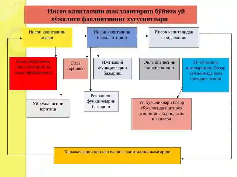 Уй хўжалиги ва унинг хиллари 4